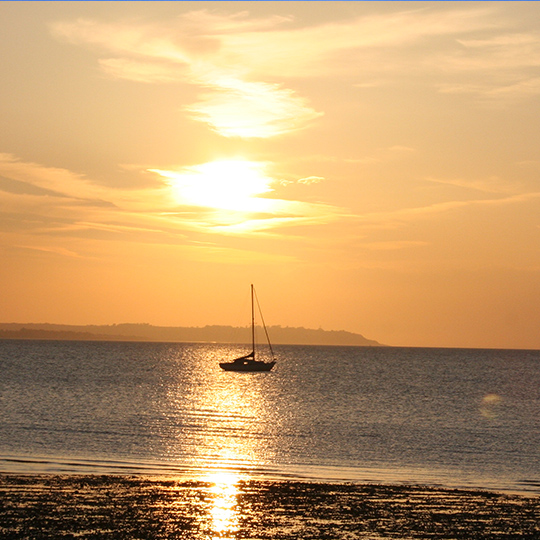Photograph: Photo Whistable